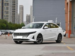 Changan Raeton Plus 2024 Бензин