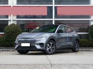 Ford Mustang Mach-E. 2024 Электрический