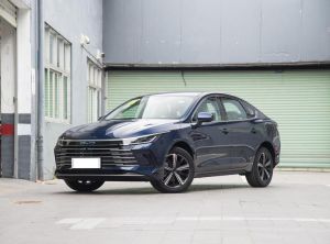 BYD Destroyer 05 2024 Подключаемый гибрид