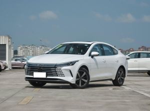 BYD Destroyer 05 2024 Подключаемый гибрид