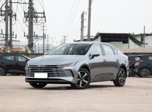 BYD Destroyer 05 2024 Подключаемый гибрид