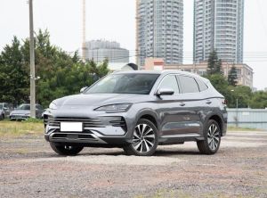 BYD Song PLUS New Energy 2024 Подключаемый гибрид