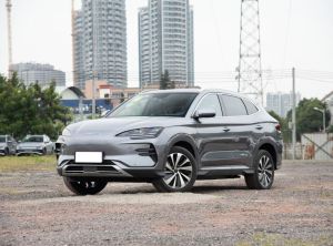 BYD Song PLUS New Energy 2024 Электрический