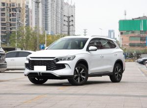 BYD Song Pro New Energy 2024 Подключаемый гибрид