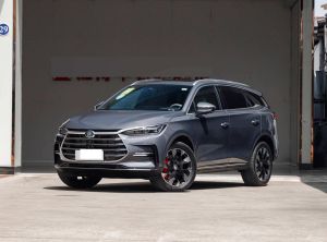 BYD Tang New Energy 2024 Подключаемый гибрид