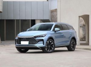 BYD Tang New Energy 2024 Подключаемый гибрид
