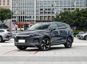 BYD Tang New Energy 2024 Подключаемый гибрид