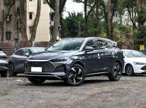 BYD Tang New Energy 2024 Подключаемый гибрид