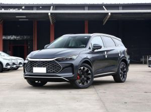 BYD Tang New Energy 2024 Подключаемый гибрид