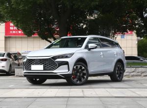 BYD Tang New Energy 2024 Подключаемый гибрид