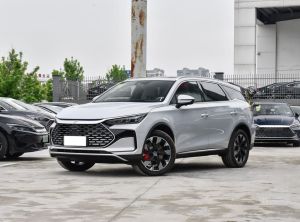 BYD Tang New Energy 2024 Подключаемый гибрид