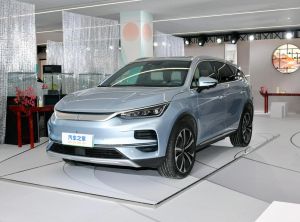 BYD Tang New Energy 2024 Электрический
