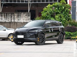 BYD Tang New Energy 2024 Подключаемый гибрид