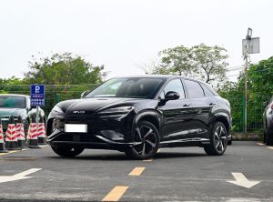 BYD Sea Lion07 2024 Электрический