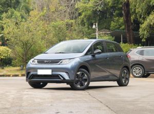 BYD Dolphin 2024 Электрический