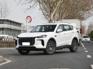 Jetour X70 C-DM 2024 Подключаемый гибрид