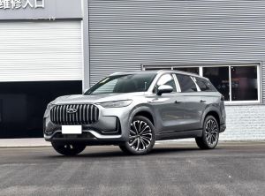 Chery Tiggo 9 2024 Бензин