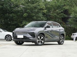 Chery New Energy Chery Eq7 2024 Электрический