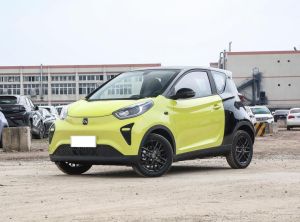 Chery New Energy Little Ant 2024 Электрический