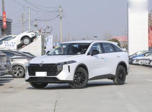 Venucia V-Online 2024 Бензин