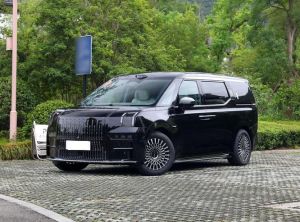 ZEEKR 009 2024 Электрический