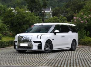 ZEEKR 009 2024 Электрический