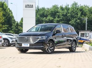 Volkswagen Viloran 2024 Бензин