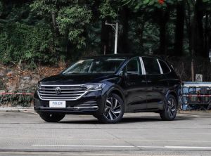 Volkswagen Viloran 2024 Бензин