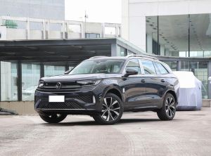 Volkswagen Tavendor 2024 Бензин