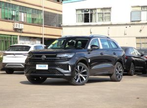 Volkswagen Tavendor 2024 Бензин