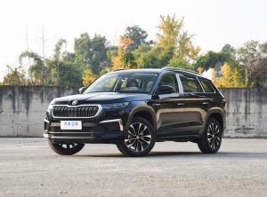 Skoda Kodiaq 2024 Бензин