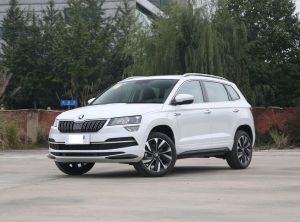 Skoda Karoq 2024 Бензин