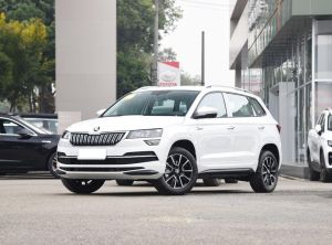 Skoda Karoq 2024 Бензин