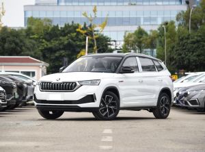 Skoda Kamiq 2024 Бензин