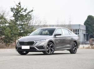 Skoda Octavia 2024 Бензин