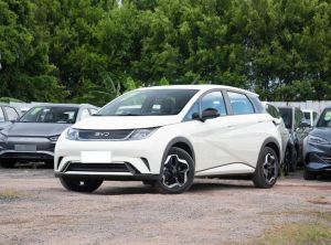 BYD Dolphin 2025 Электрический