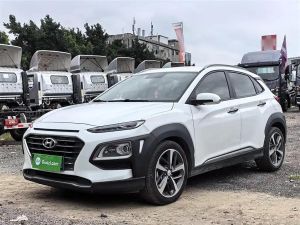 Hyundai ENCINO 2018 Бензин