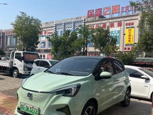 Changan Oshan Benben E-Star 2023 Электрический