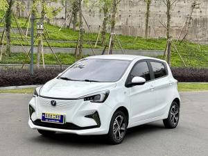Changan Oshan Benben E-Star 2022 Электрический