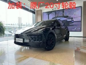 Tesla Model Y 2021 Электрический