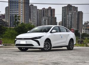 Geely Geometry G6 2024 Электрический