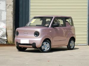 Geely Panda 2024 Электрический