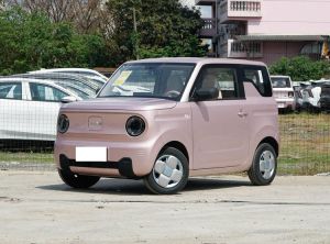 Geely Panda 2024 Электрический