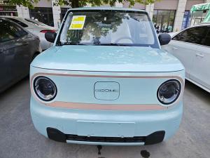 Geely Panda 2024 Электрический