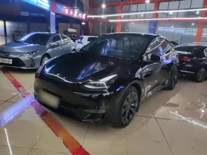Tesla Model Y 2021 Электрический