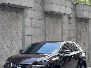 Lexus NX 2019 Бензин