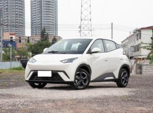 BYD Seagull 2024 Электрический