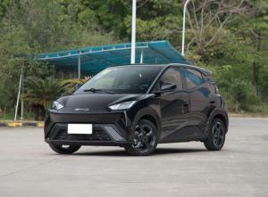 BYD Seagull 2024 Электрический