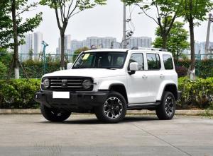 Tank 300 New Energy 2024 Подключаемый гибрид