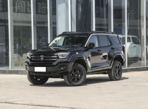 Tank 400 New Energy 2024 Подключаемый гибрид